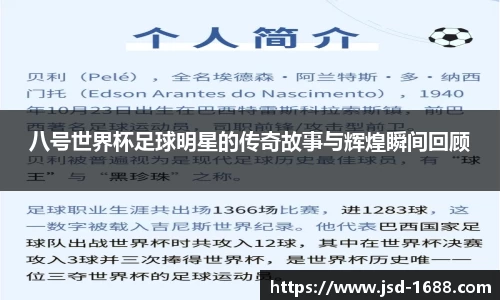 BB贝博登录入口